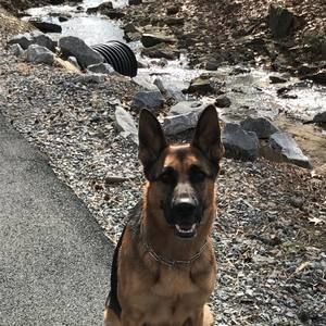 Meet your Posher, Vicky